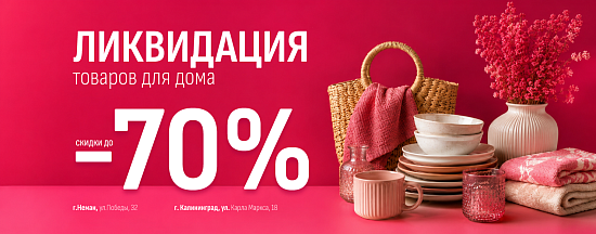 Ликвидация