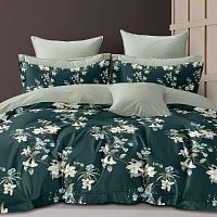 КПБ 2,0сп (европростыня) сатин 50*70см МУЗА Хлопковый Рай