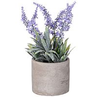 Композиция цветочная ЛАВАНДА в горшке Lefard 268-120