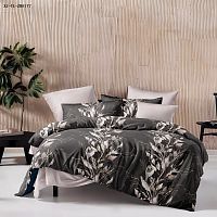 КПБ 2,0сп (европростыня) сатин 50*70см+70*70см АСТИ Хлопковый Рай