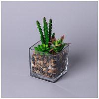 Суккулент искусственный 11*11*17см в квадратной вазе Lefard 535-401