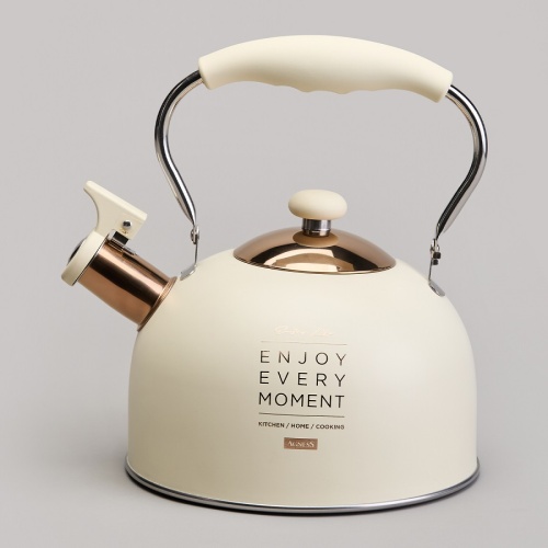 Чайник нерж. сталь 2,5л Agness ТЮДОР БЕЛЫЙ свисток складная ручка индукция 914-160