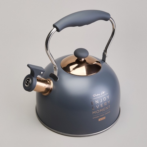 Чайник нерж. сталь 2,5л Agness ТЮДОР СЕРЫЙ свисток складная ручка индукция 914-161 Чайник нерж. сталь 2,5л Agness ТЮДОР СЕРЫЙ свисток складная ручка индукция 914-161