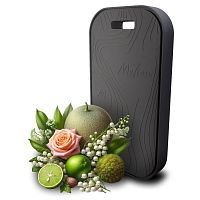 Аромаподвеска керамическая 50г PINK FRESH Melien MM6580FS
