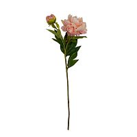 Цветок искусственный 67см ПИОН персиковый Магамакс HFW-38