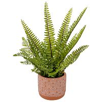 Растение искусственное 12*42см ПАПОРОТНИК в керамическом горшке Магамакс Mia12
