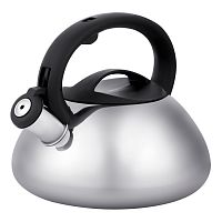 Чайник нерж. сталь 3,0л Regent TEA автоподъем крышки индукция 86-102