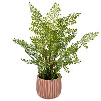 Растение искусственное 12*48см ПАПОРОТНИК КУРЧАВЫЙ в керамическом горшке Магамакс Mia11