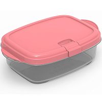 Контейнер для хранения прямоугольный 0,45л CLICK с клапаном Ассорти Полимербыт C97001