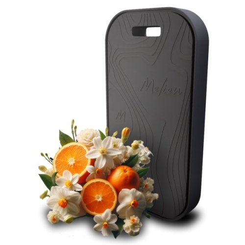 Аромаподвеска керамическая 50г BAD GIRL Melien MM6582S