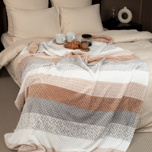 Плед 200*220см фланель БЕЖЕВЫЙ Absolute TF FNJPs BE 2022 фото 3