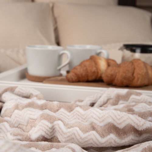 Плед 150*200см фланель БЕЖЕВЫЙ Absolute TF FNAC BE-GY3 006/1520 NC фото 4