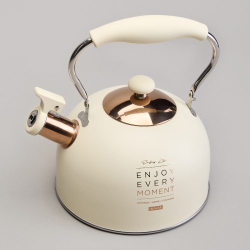 Чайник нерж. сталь 2,5л Agness ТЮДОР БЕЛЫЙ свисток складная ручка индукция 914-160 фото 3