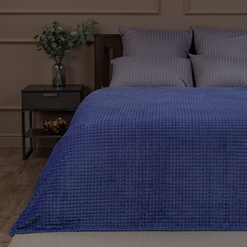 Плед 200*220см фланель СИНИЙ Absolute FF FNJq BL1 2022 17-3923 фото 2