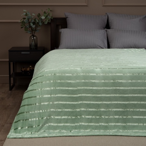 Плед 150*200см микрофайбер МЯТНЫЙ Absolute TF MFS MIv 1520 11-0604 фото 2