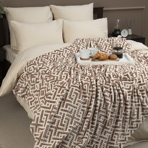 Плед 200*220см фланель БЕЖЕВЫЙ Absolute TF FNJPc BEGY1-ML 2022 фото 3