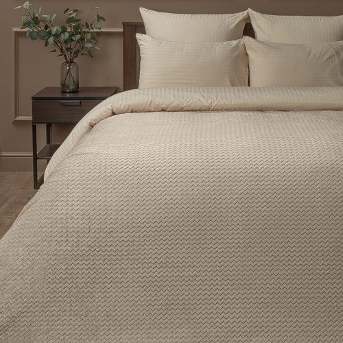 Плед 150*200см фланель S-Змейка БЕЖЕВЫЙ Absolute TF FNJ BE13 005/1520 NC фото 2