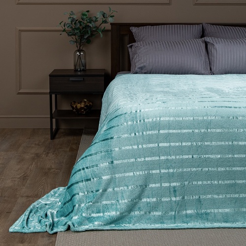 Плед 200*220см микрофайбер МЕНТОЛОВЫЙ Absolute TF MFS ME 2022 фото 2