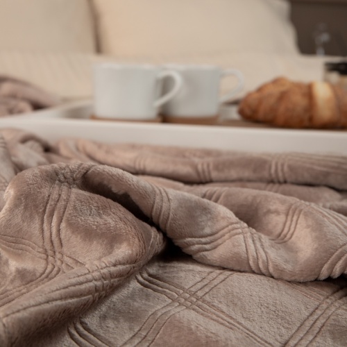 Плед 200*220см фланель C-Клетка КОРИЧНЕВЫЙ Absolute TF FNE BR2 011/2022 NC фото 4