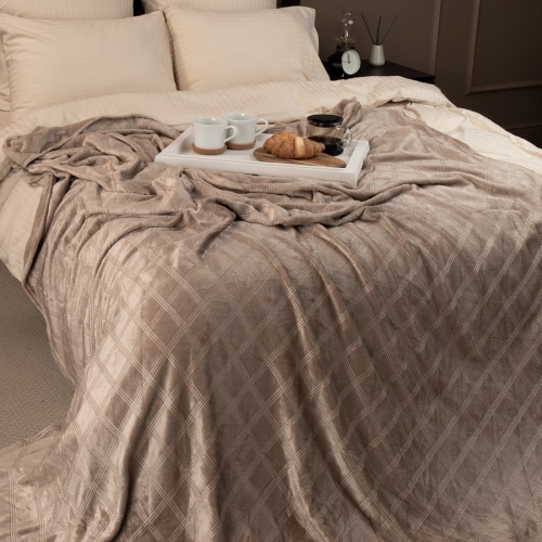 Плед 200*220см фланель C-Клетка БЕЖЕВЫЙ Absolute TF FNE BE-GY3 006/2022 NC фото 3