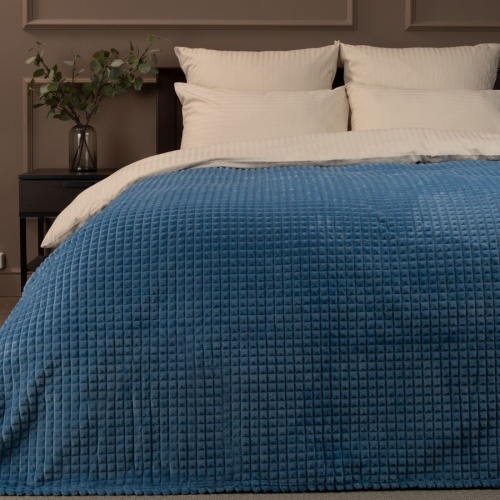 Плед 200*220см фланель СИНИЙ Absolute FF FNJq LTBL1 033/2022 NC фото 2